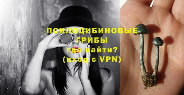 ALPHA PVP Ростов