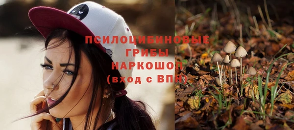 прущие крисы Армянск