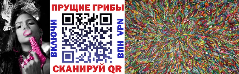 Псилоцибиновые грибы мицелий  Полярный 